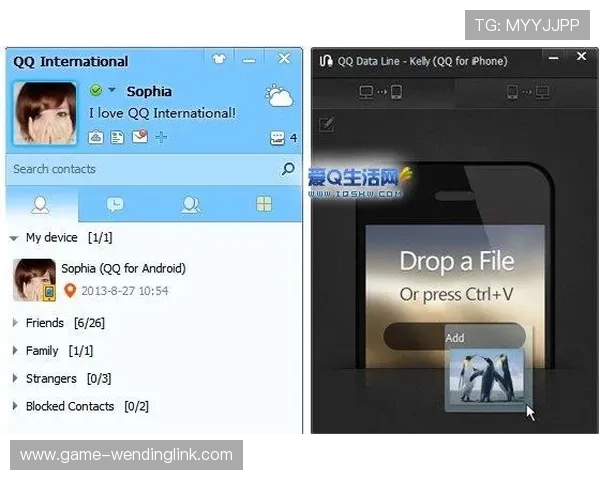 问鼎国际电脑版下载地址官方最新版本，详细介绍下载安装流程与常见问题解决方案